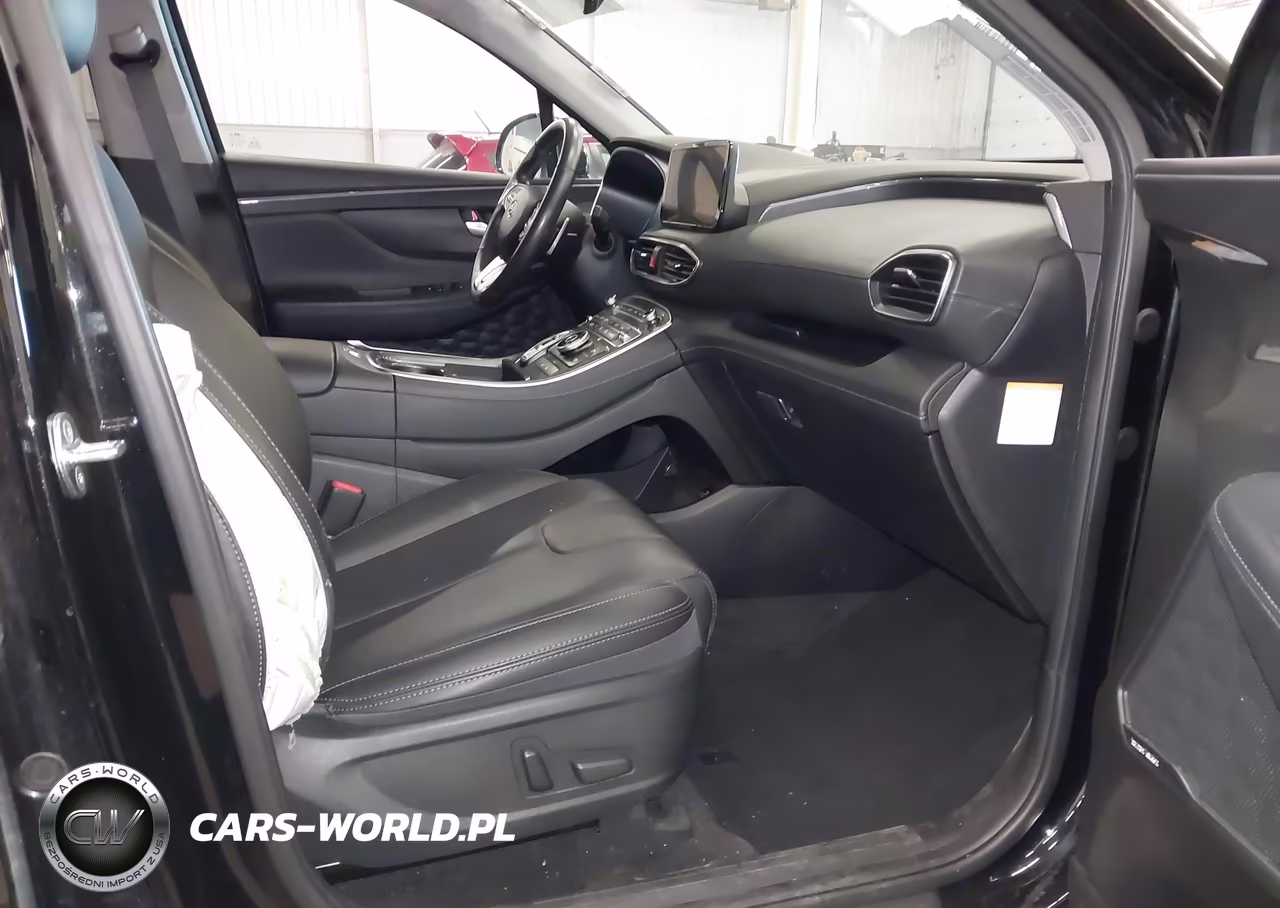 2023 Hyundai Santa Fe Hybrid Sel Premium VIN:5NMS3DA10PH000363 - 5