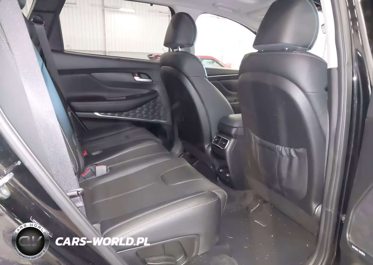 2023 Hyundai Santa Fe Hybrid Sel Premium VIN:5NMS3DA10PH000363 - 8