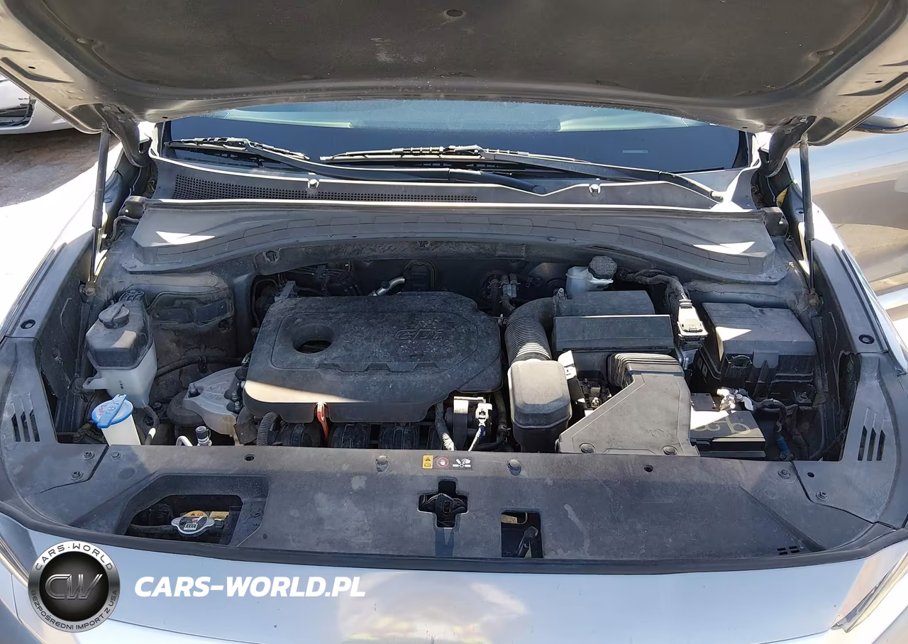 2019 Hyundai Santa Fe Sel Plus VIN:5NMS33AD0KH106518 - 10