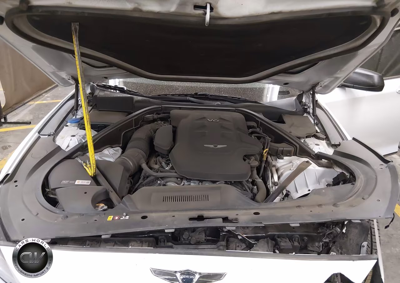 2018 Genesis G80 3.8 VIN:KMHGN4JE0JU239040 - 10