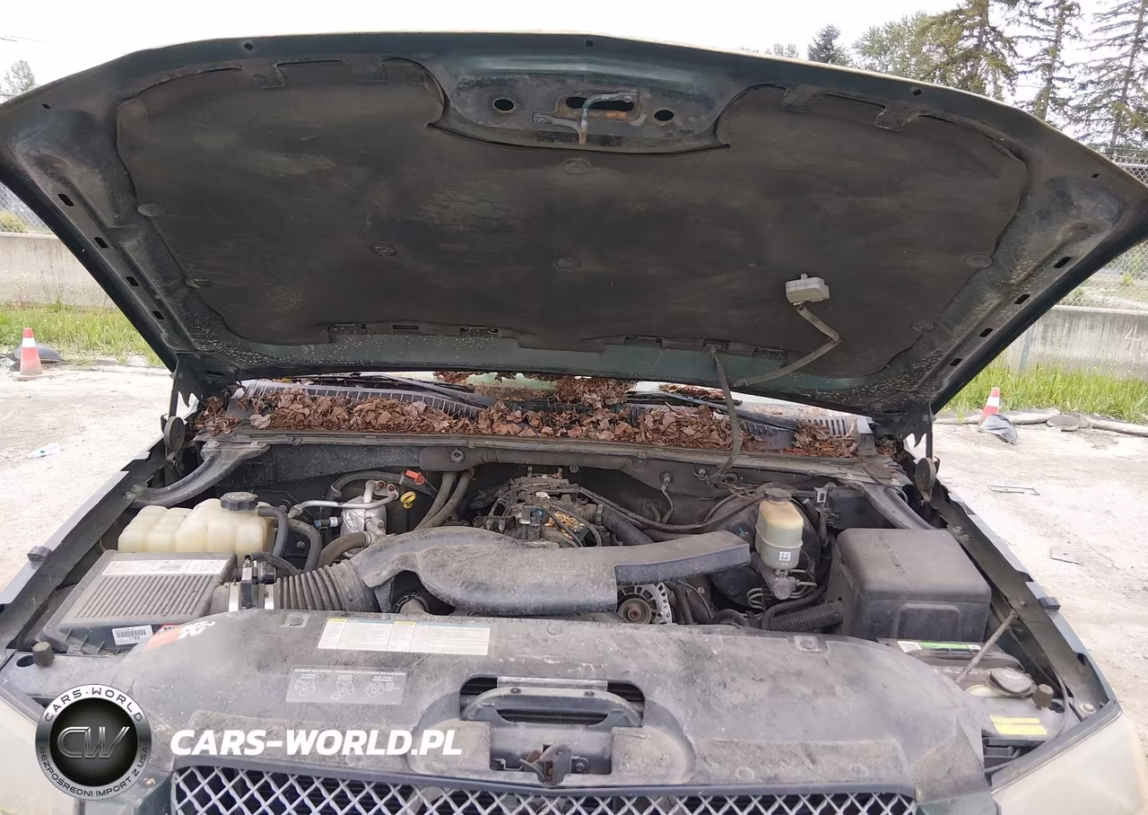 2002 Chevrolet Avalanche 1500 VIN:3GNEK13TX2G226922 - 10