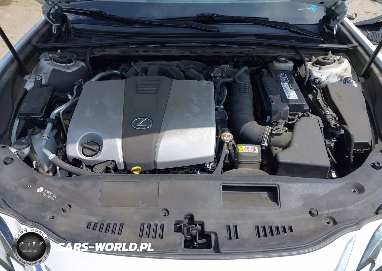 2019 Lexus Es 350 VIN:JTHBZ1B19K2003883 - 10