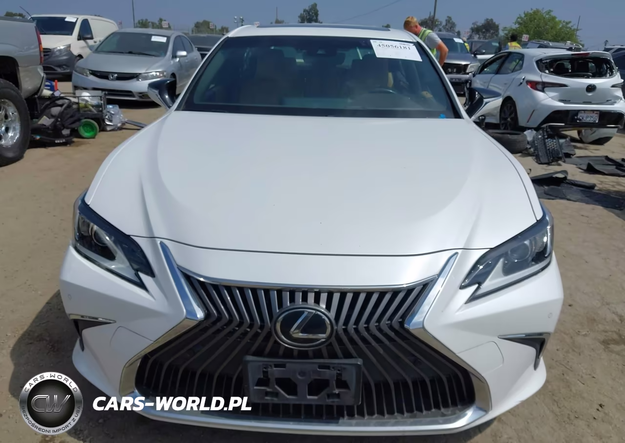 2019 Lexus Es 350 VIN:JTHBZ1B19K2003883 - 12