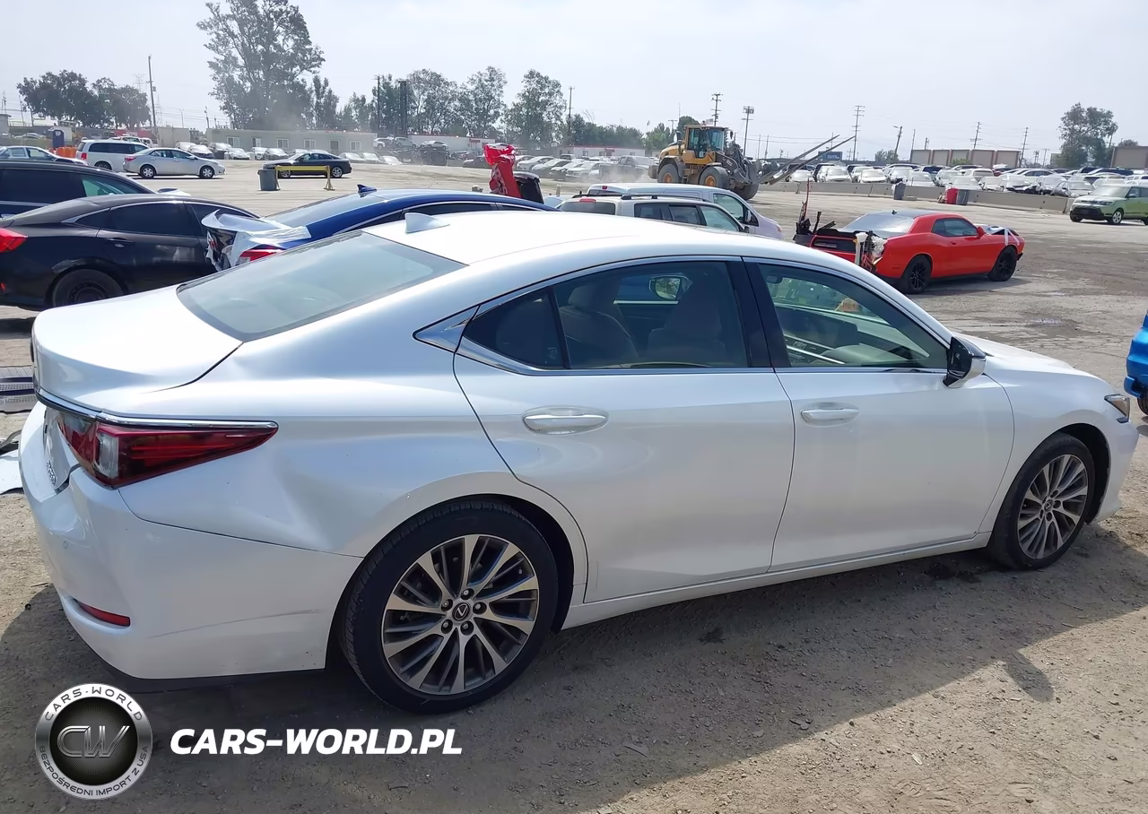 2019 Lexus Es 350 VIN:JTHBZ1B19K2003883 - 13