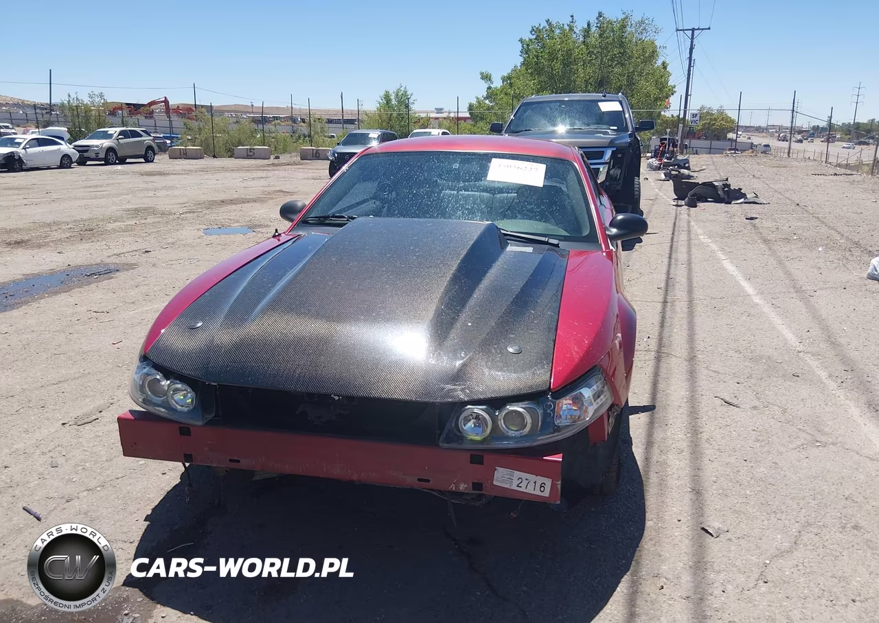 2003 Ford Mustang Gt VIN:1FAFP42X93F380079 - 6