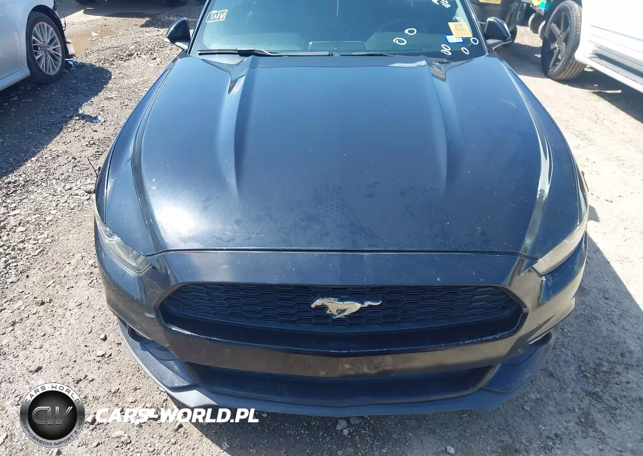 2016 Ford Mustang Ecoboost Premium VIN:1FATP8UH1G5212867 - 12