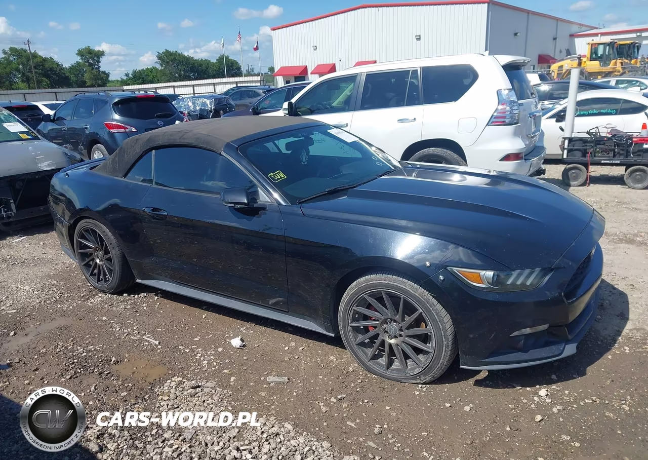 2016 Ford Mustang Ecoboost Premium VIN:1FATP8UH1G5212867 - 13