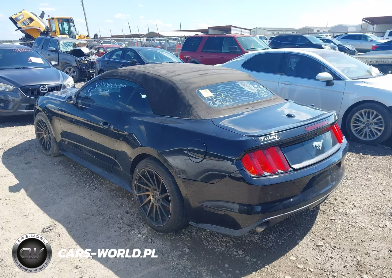2016 Ford Mustang Ecoboost Premium VIN:1FATP8UH1G5212867 - 14