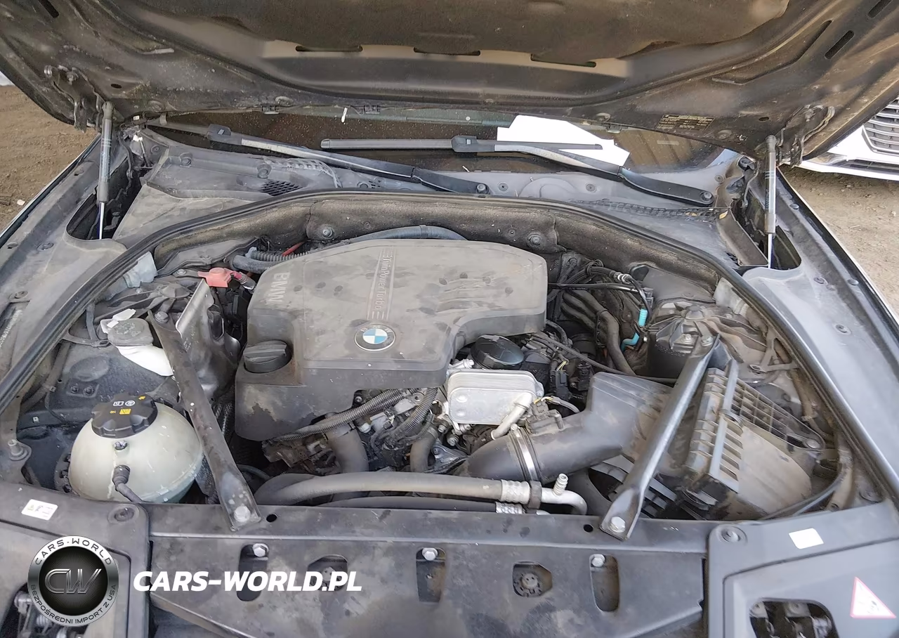 2015 BMW 528I VIN:WBA5A5C52FD523297 - 10