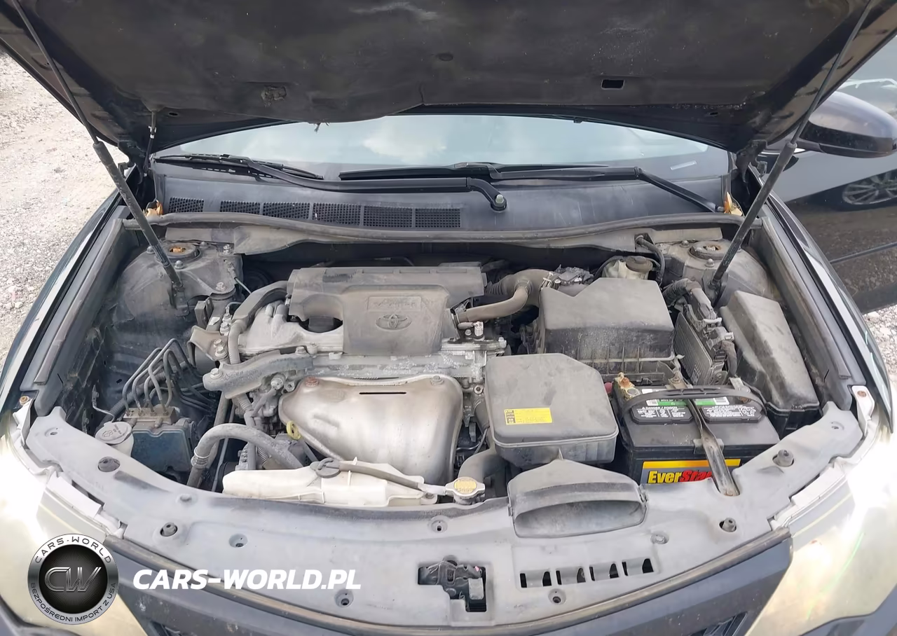 2014 Toyota Camry Se VIN:4T1BF1FKXEU319214 - 10
