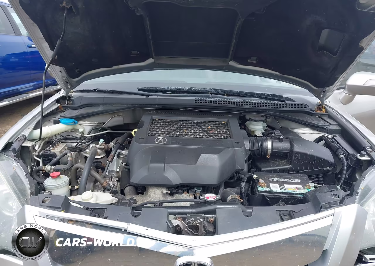 2010 Acura Rdx VIN:5J8TB1H53AA003002 - 10