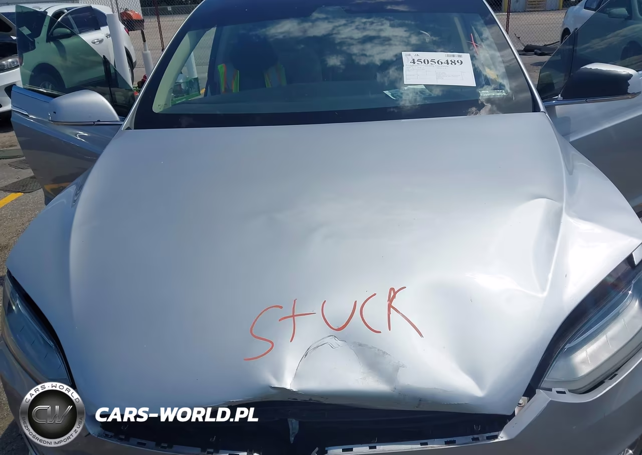 2018 Tesla Model X 100D-75D-P100D VIN:5YJXCAE25JF111832 - 10