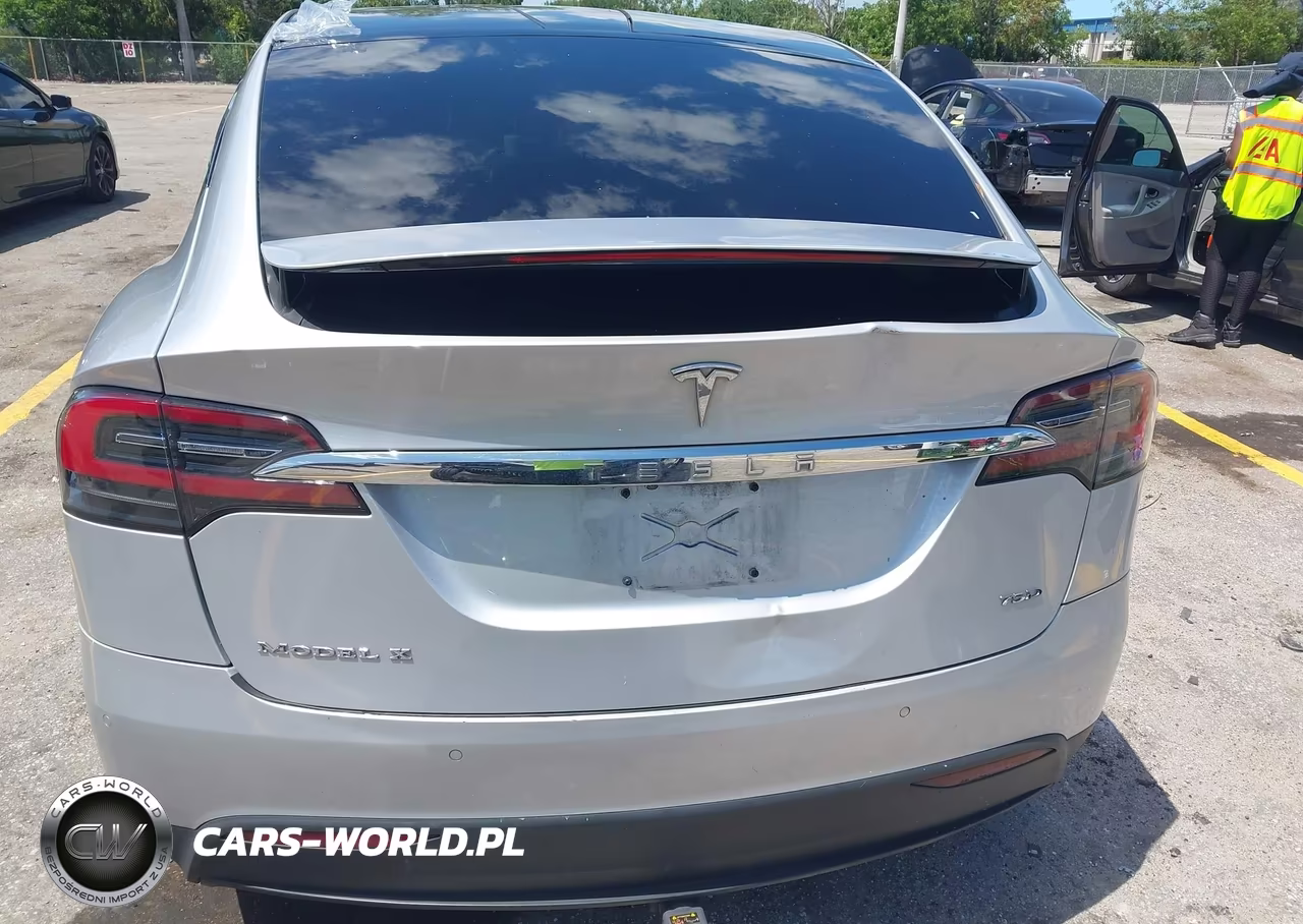 2018 Tesla Model X 100D-75D-P100D VIN:5YJXCAE25JF111832 - 19