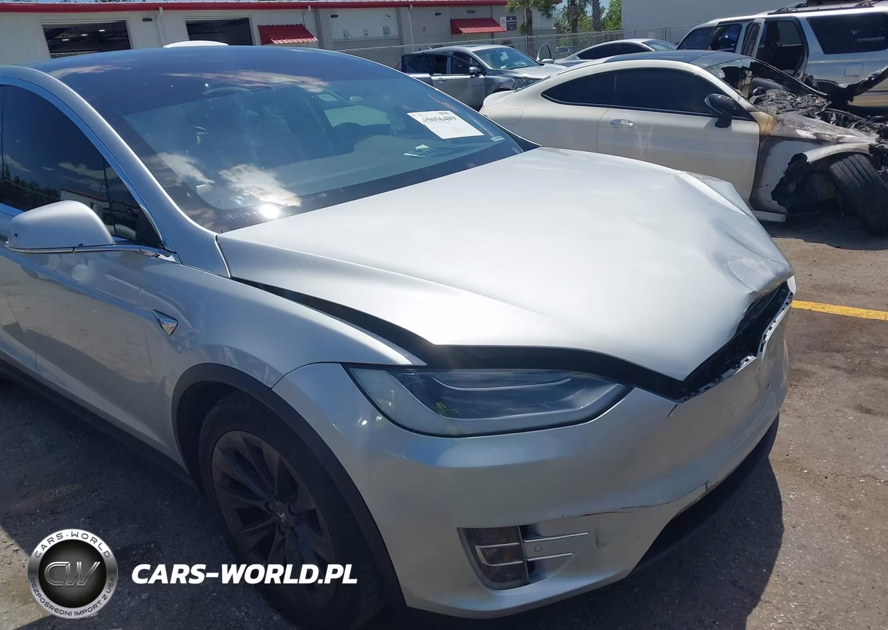 2018 Tesla Model X 100D-75D-P100D VIN:5YJXCAE25JF111832 - 21