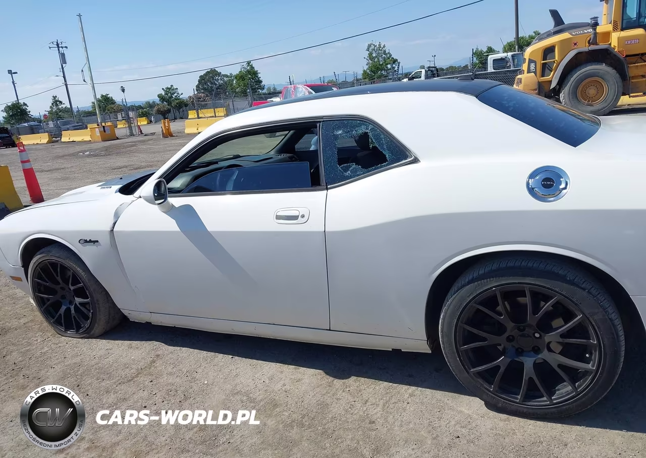 2009 Dodge Challenger R-T VIN:2B3LJ54T89H599638 - 14