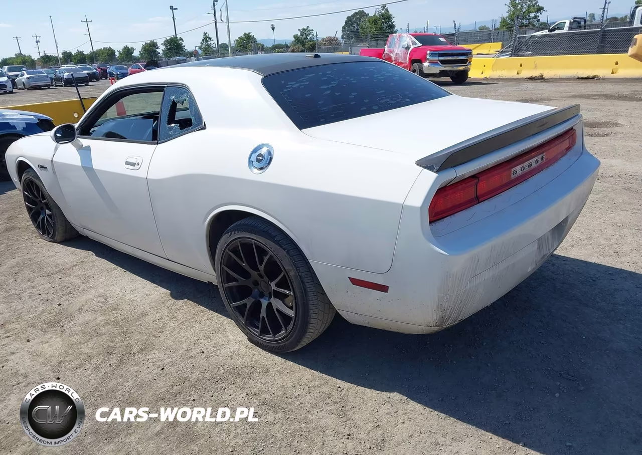 2009 Dodge Challenger R-T VIN:2B3LJ54T89H599638 - 3