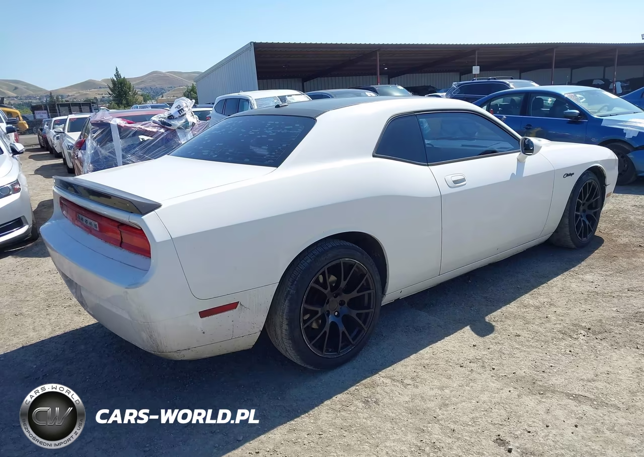 2009 Dodge Challenger R-T VIN:2B3LJ54T89H599638 - 4