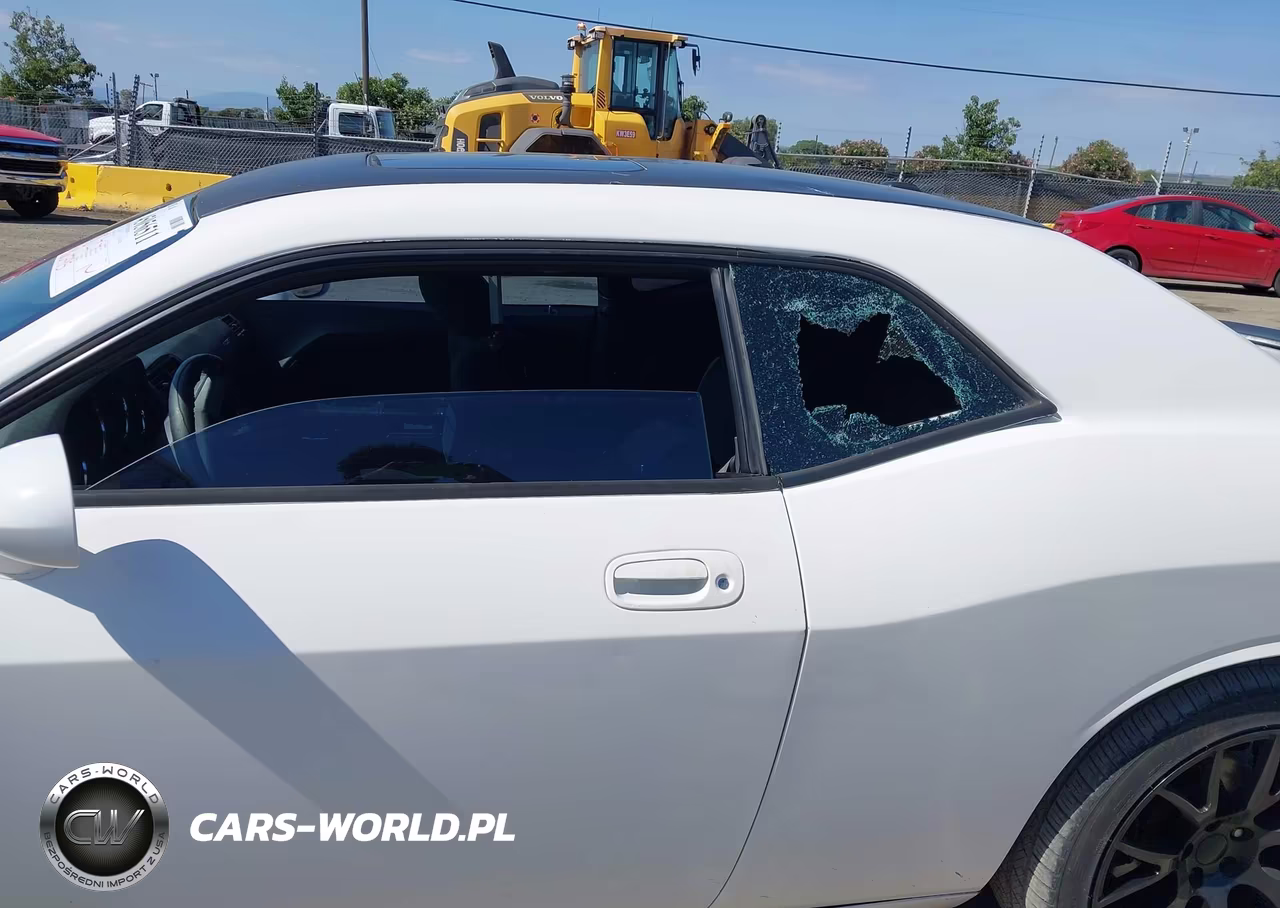 2009 Dodge Challenger R-T VIN:2B3LJ54T89H599638 - 6