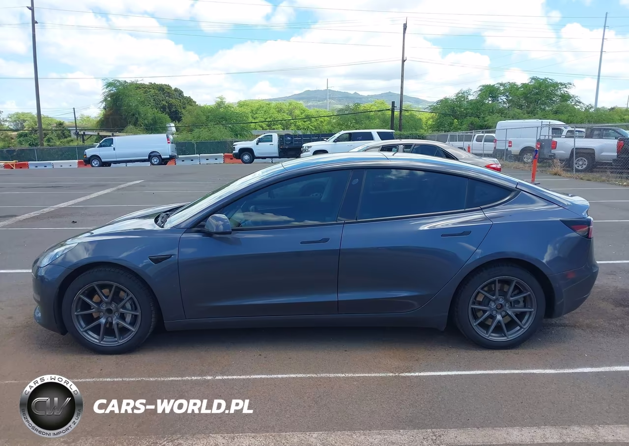 2022 Tesla Model 3 Rear-Wheel Drive VIN:5YJ3E1EAXNF307254 - 14