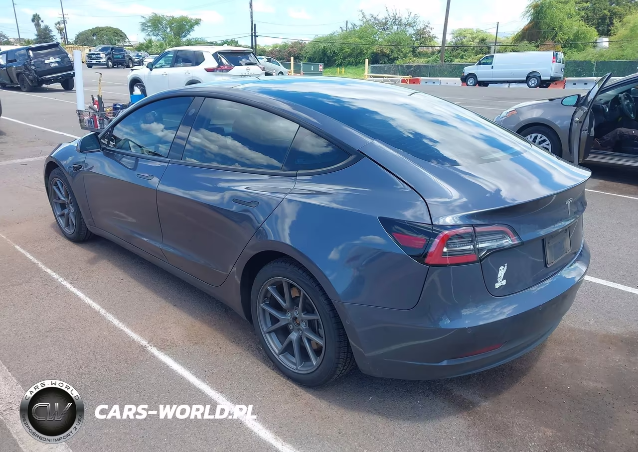 2022 Tesla Model 3 Rear-Wheel Drive VIN:5YJ3E1EAXNF307254 - 3