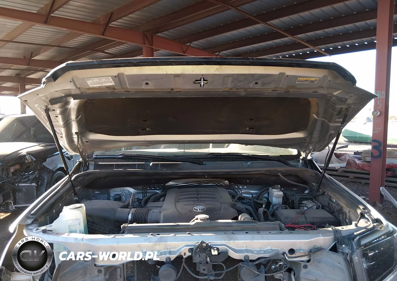 2019 Toyota Tundra Limited 5.7L V8 VIN:5TFHY5F12KX780618 - 10