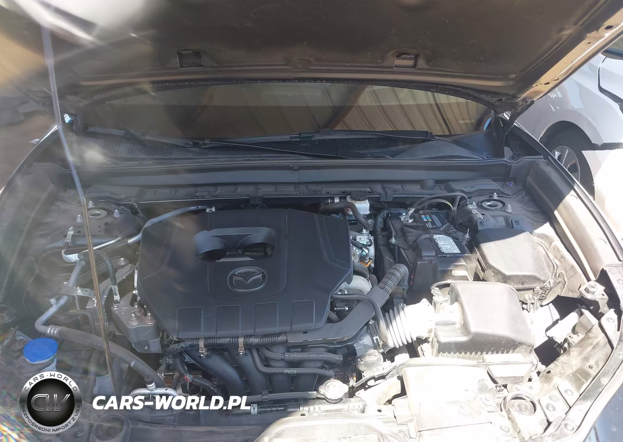 2025 Mazda Cx-30 2.5 S Premium Package VIN:3MVDMBDM0SM797282 - 10