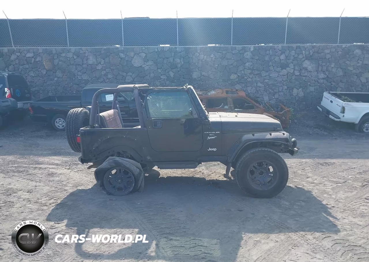 2000 Jeep Wrangler Sport VIN:1J4FA49S6YP782952 - 13