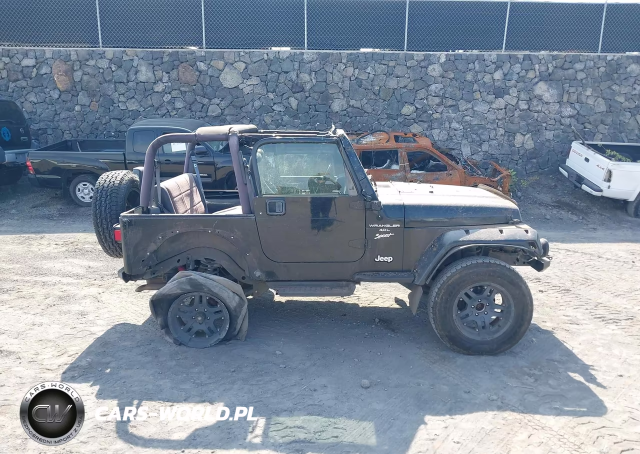 2000 Jeep Wrangler Sport VIN:1J4FA49S6YP782952 - 6