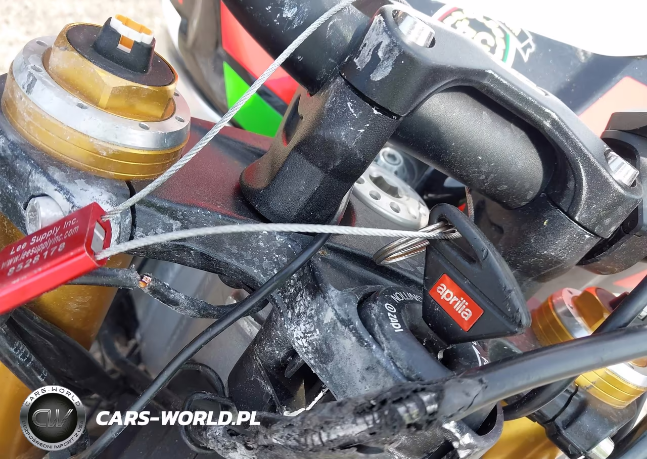 2021 Aprilia Tuono V4 1100 Factory VIN:ZD4KZUB05MS000089 - 11