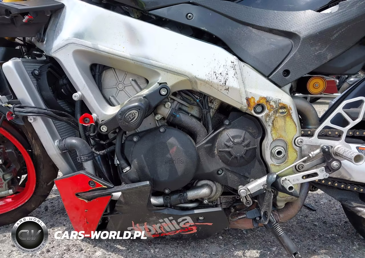 2021 Aprilia Tuono V4 1100 Factory VIN:ZD4KZUB05MS000089 - 9