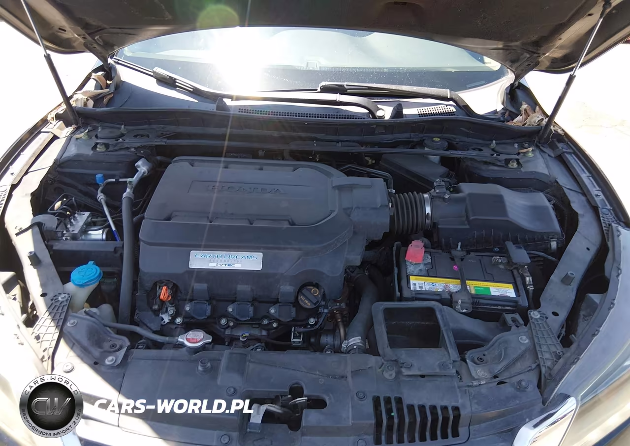 2014 Honda Accord Ex-L V-6 VIN:1HGCR3F84EA019073 - 10