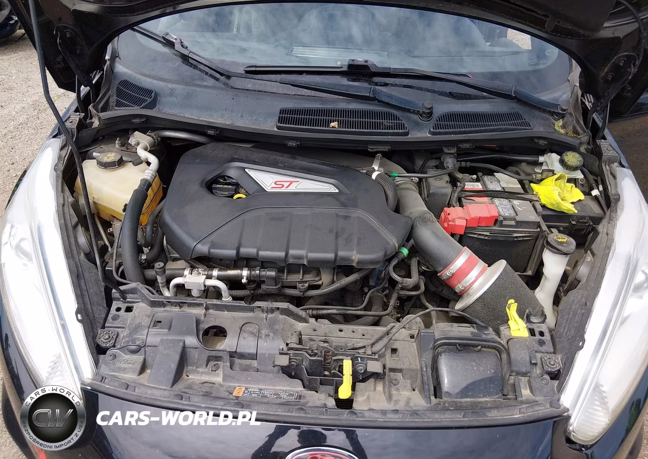 2017 Ford Fiesta St VIN:3FADP4GX6HM121153 - 10