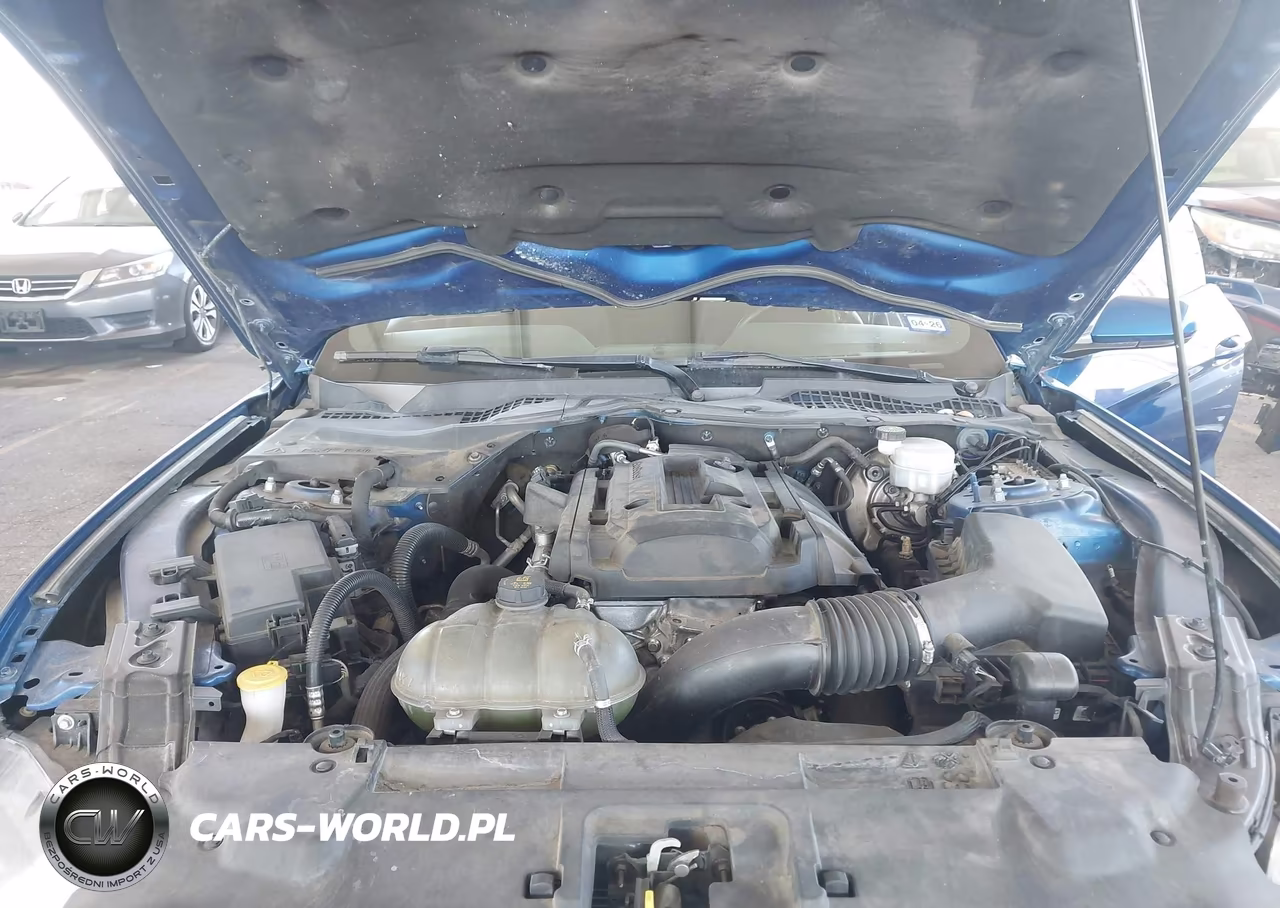 2018 Ford Mustang Ecoboost VIN:1FA6P8TH5J5163159 - 10