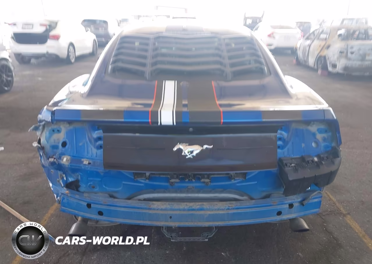 2018 Ford Mustang Ecoboost VIN:1FA6P8TH5J5163159 - 17