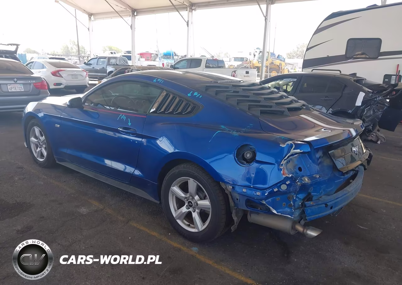 2018 Ford Mustang Ecoboost VIN:1FA6P8TH5J5163159 - 3