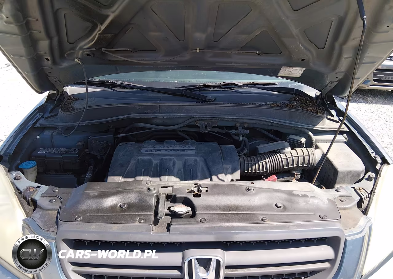 2005 Honda Pilot Lx VIN:2HKYF18185H559231 - 10