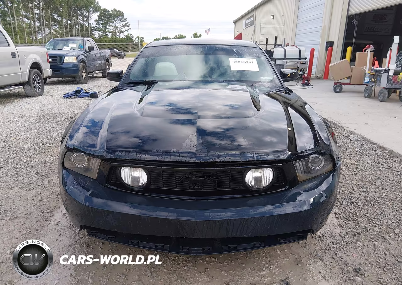 2010 Ford Mustang Gt-Gt Premium VIN:1ZVBP8CH8A5117816 - 12