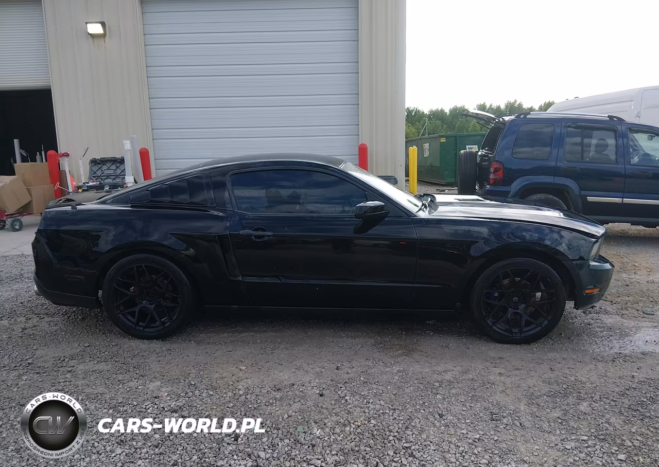2010 Ford Mustang Gt-Gt Premium VIN:1ZVBP8CH8A5117816 - 13