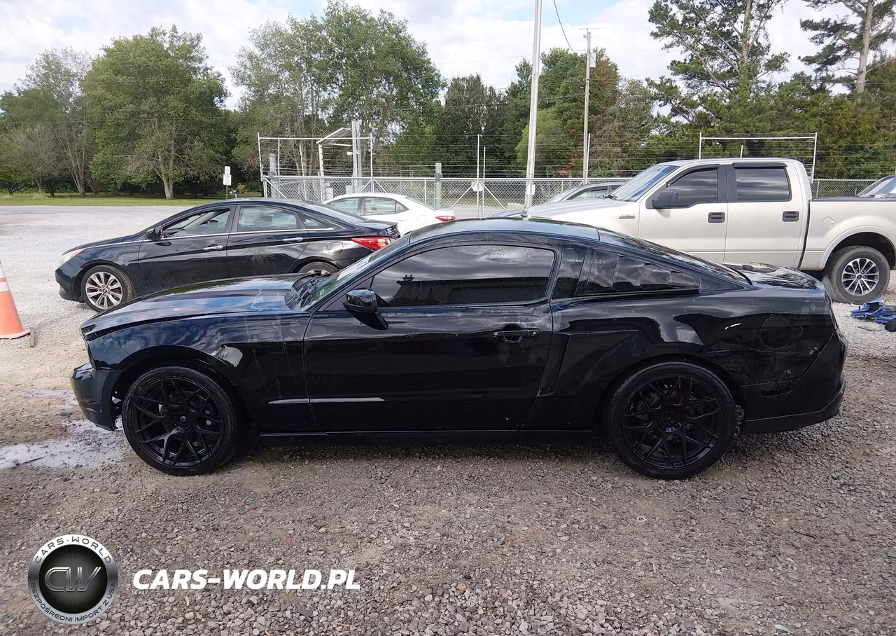 2010 Ford Mustang Gt-Gt Premium VIN:1ZVBP8CH8A5117816 - 14