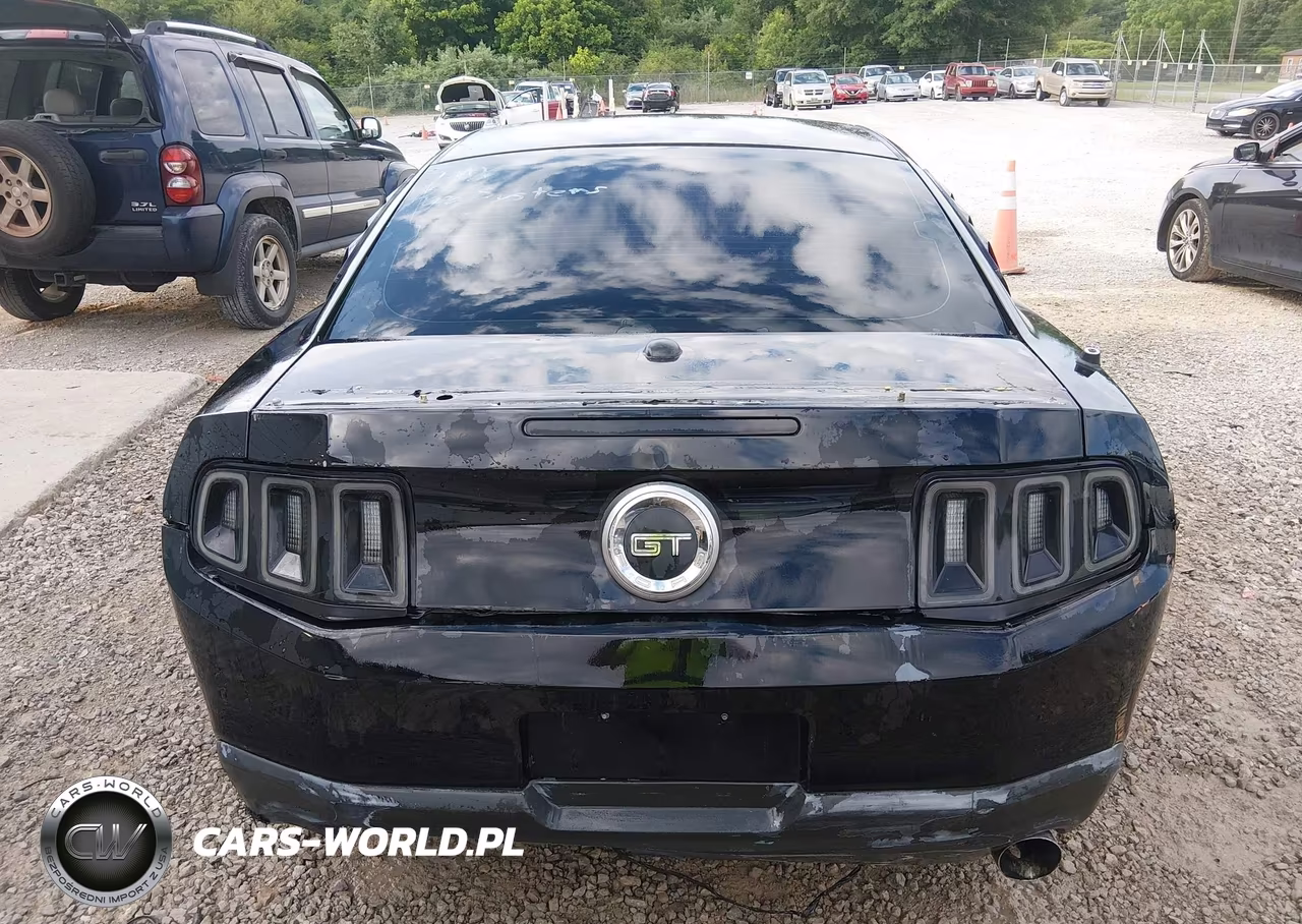 2010 Ford Mustang Gt-Gt Premium VIN:1ZVBP8CH8A5117816 - 16
