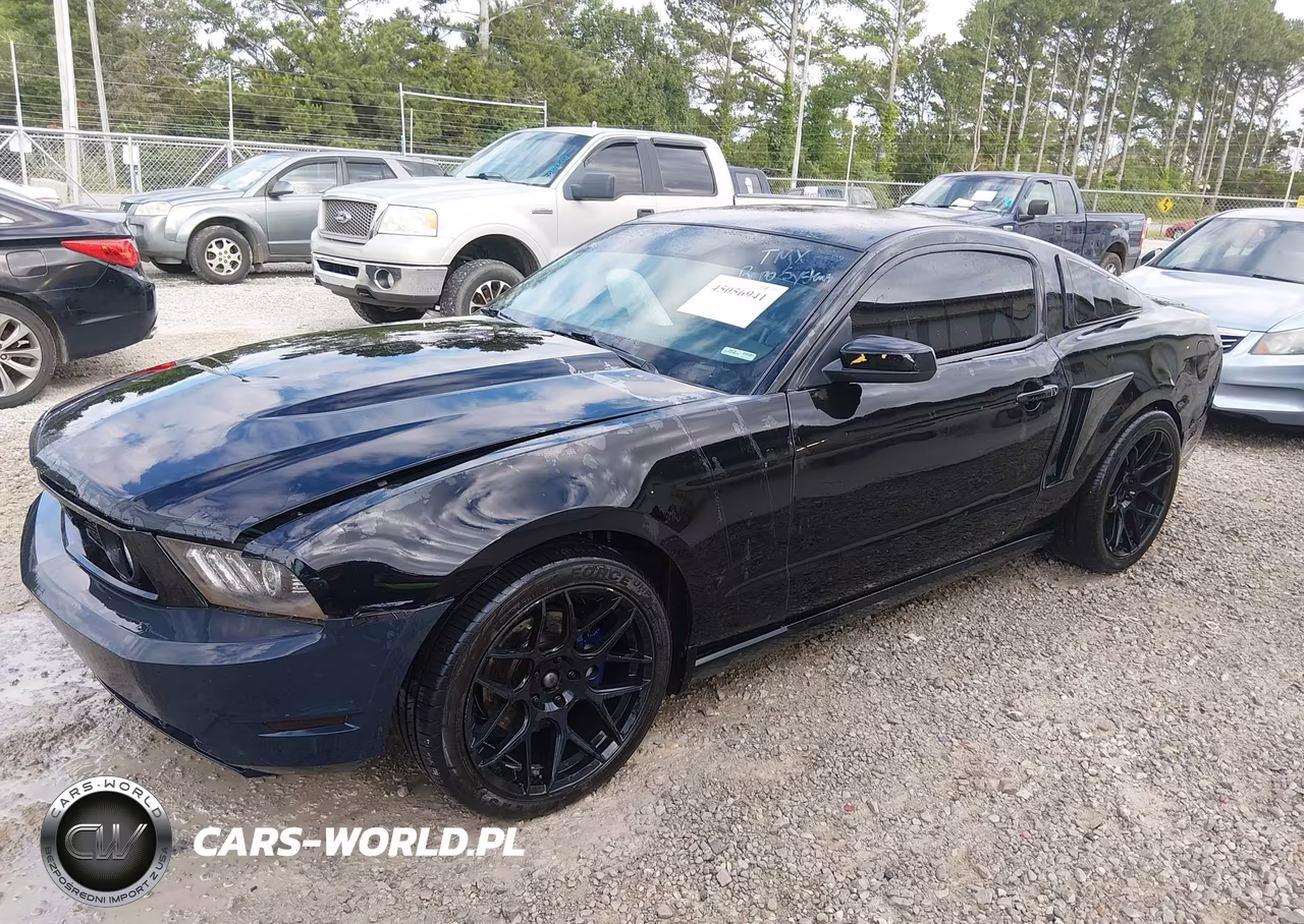 2010 Ford Mustang Gt-Gt Premium VIN:1ZVBP8CH8A5117816 - 2