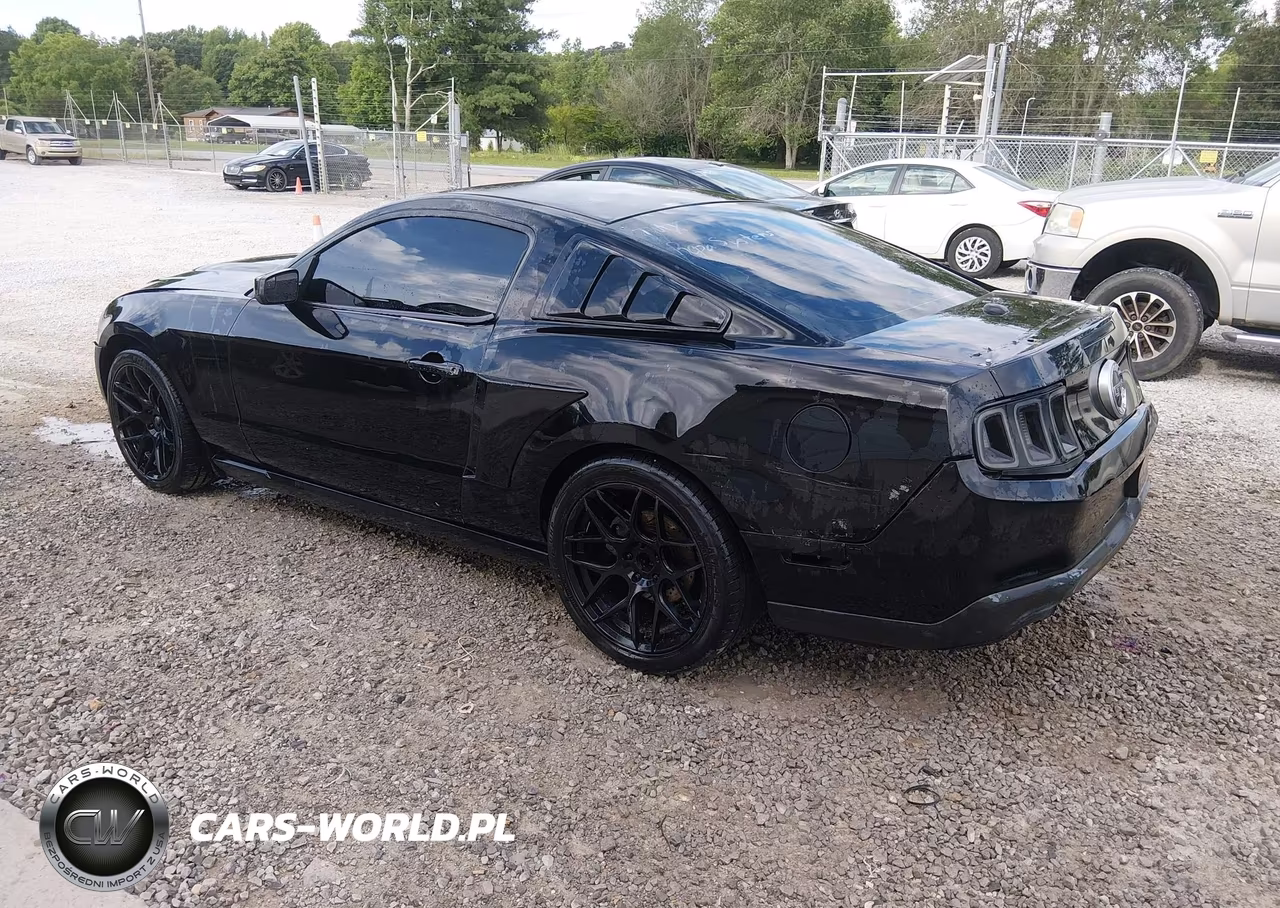 2010 Ford Mustang Gt-Gt Premium VIN:1ZVBP8CH8A5117816 - 3