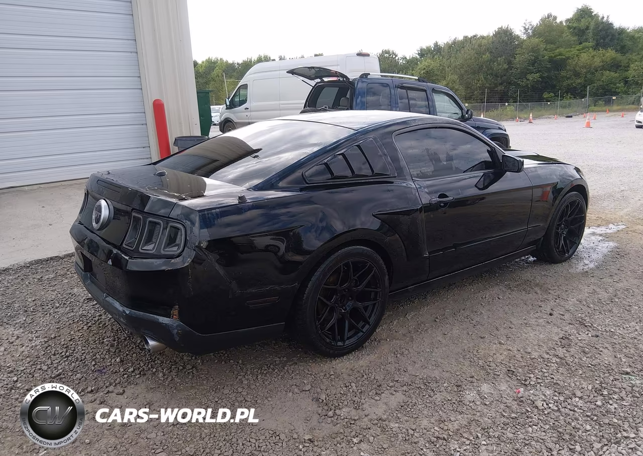 2010 Ford Mustang Gt-Gt Premium VIN:1ZVBP8CH8A5117816 - 4