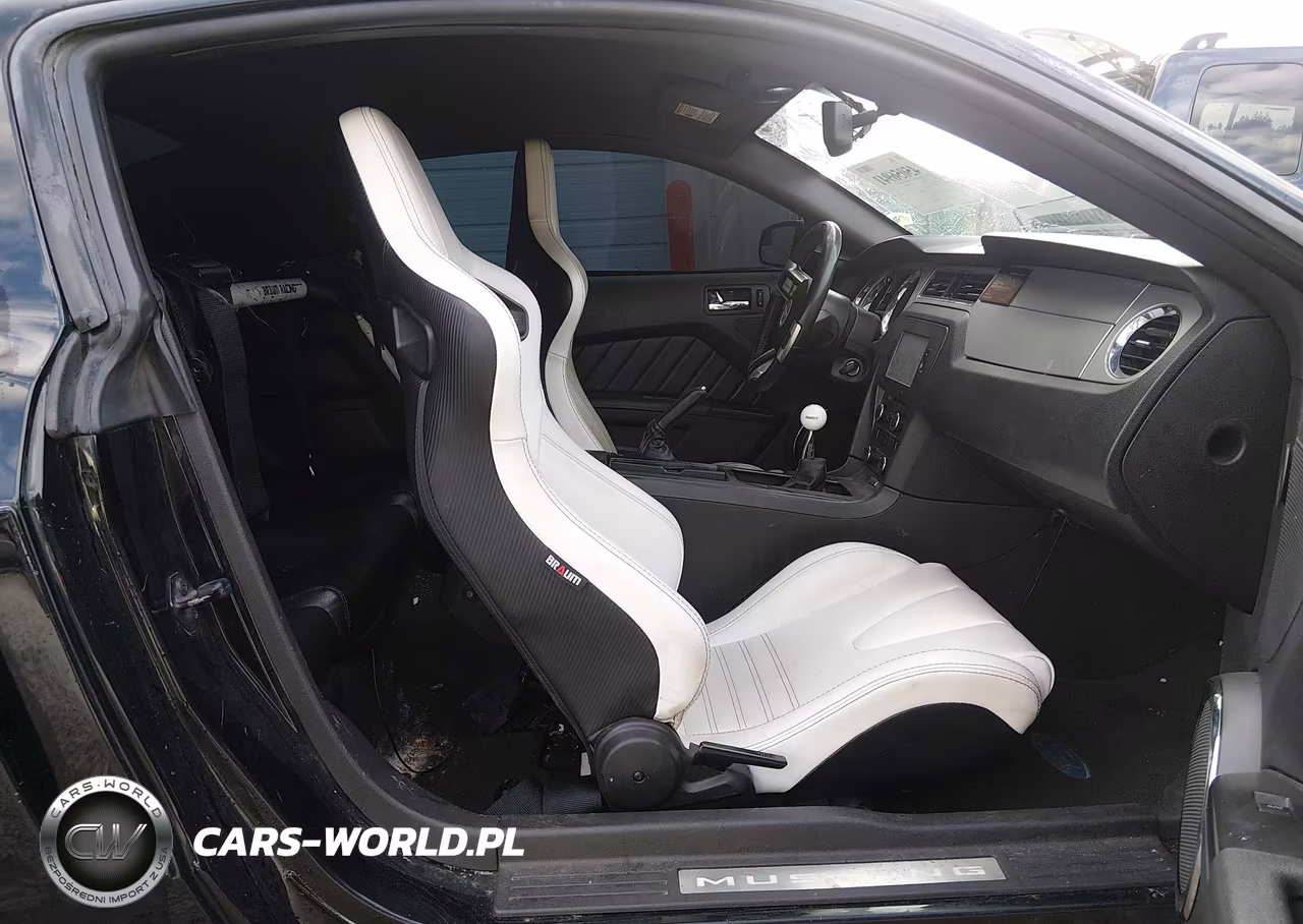 2010 Ford Mustang Gt-Gt Premium VIN:1ZVBP8CH8A5117816 - 5