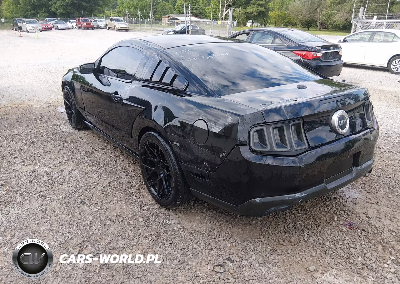 2010 Ford Mustang Gt-Gt Premium VIN:1ZVBP8CH8A5117816 - 6