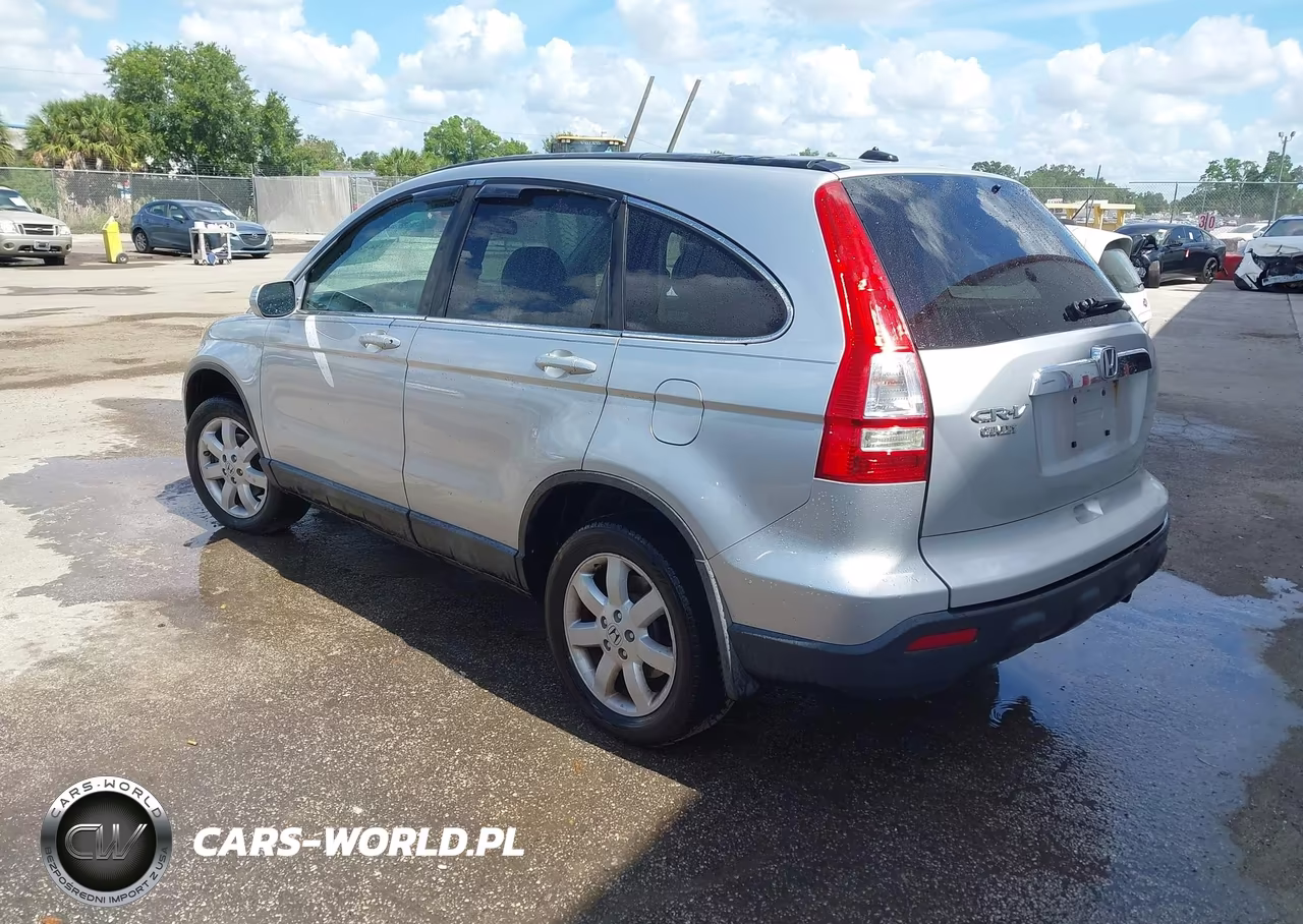 2009 Honda Cr-V Ex-L VIN:5J6RE487X9L058785 - 3