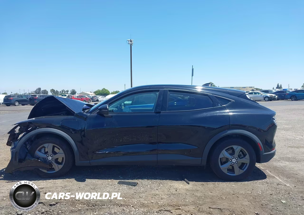 2022 Ford Mustang Mach-E Select VIN:3FMTK1RMXNMA44512 - 13