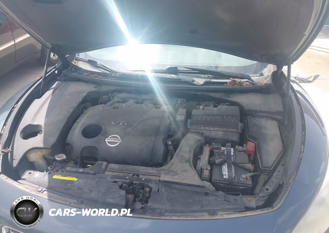 2009 Nissan Maxima 3.5 Sv VIN:1N4AA51E19C844588 - 10