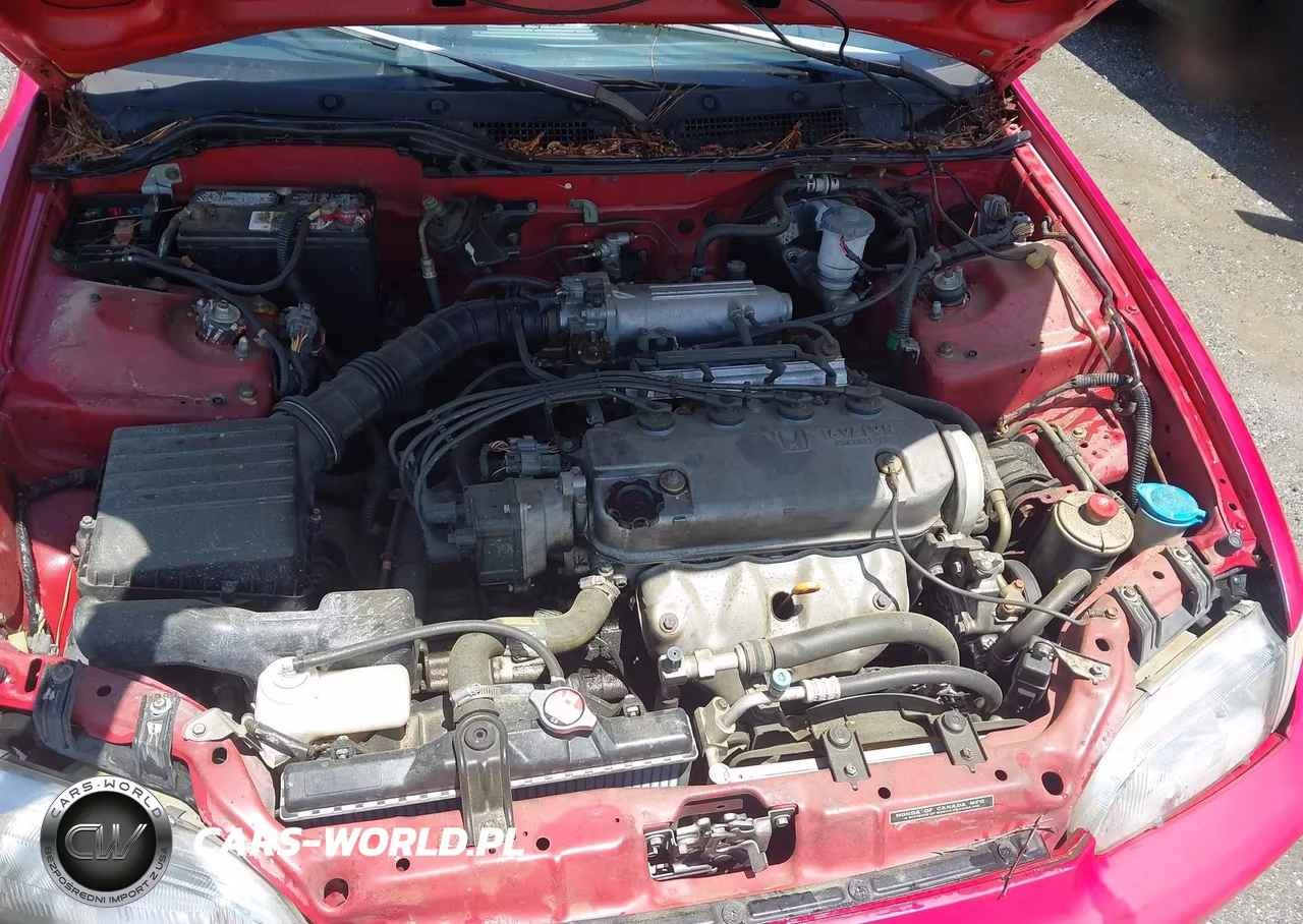 1995 Honda Civic Dx VIN:2HGEJ2223SH527625 - 10