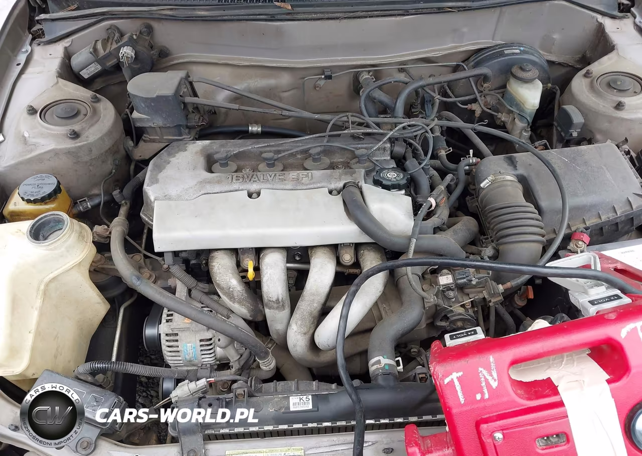 1998 Toyota Corolla Le VIN:1NXBR18E2WZ135871 - 10